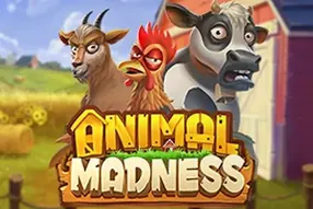 Animal Madness